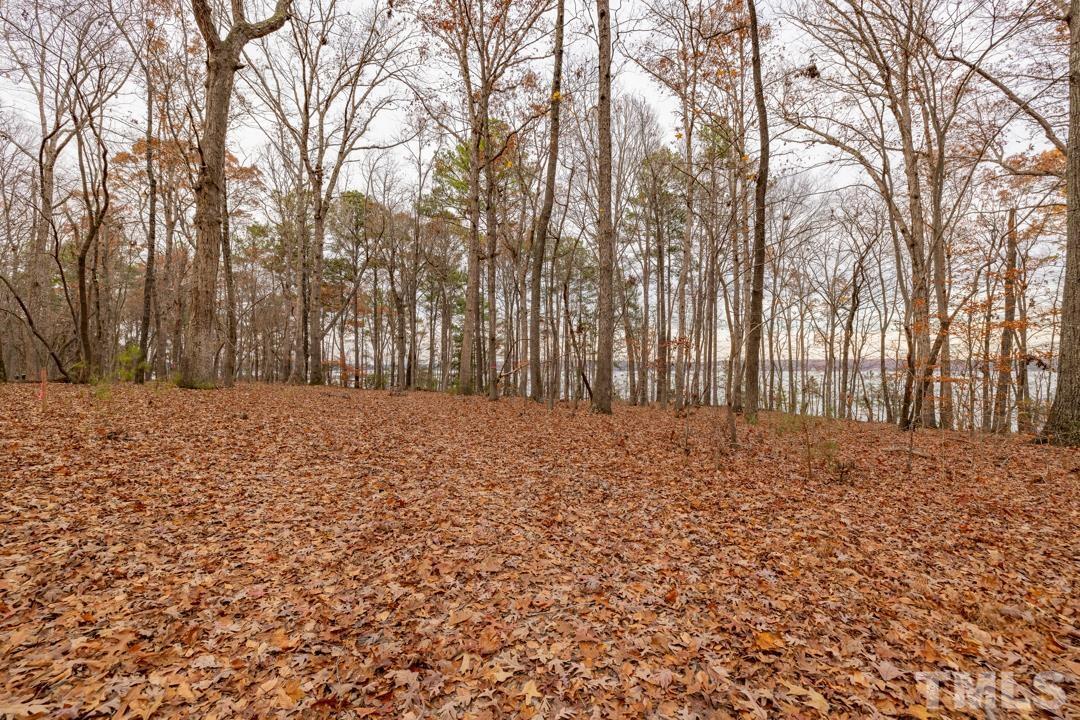 Lot 20 Serenity Point Littleton, NC 27850 - Photo 27 of 31 a view of snow covered with snow