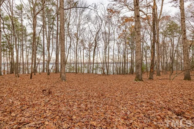 a view of outdoor space with deck and trees
