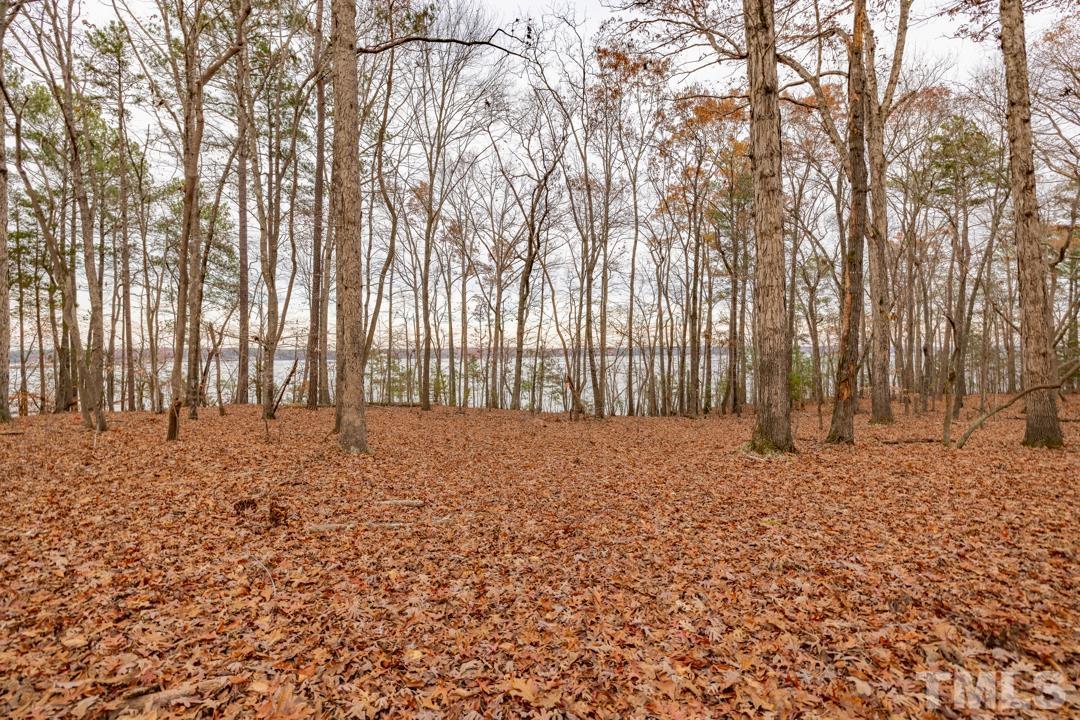 Lot 20 Serenity Point Littleton, NC 27850 - Photo 28 of 31 a big yard with lots of green space