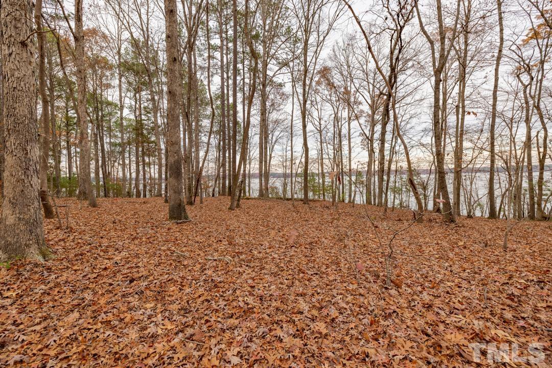 Lot 20 Serenity Point Littleton, NC 27850 - Photo 29 of 31 a view of outdoor space with deck and trees
