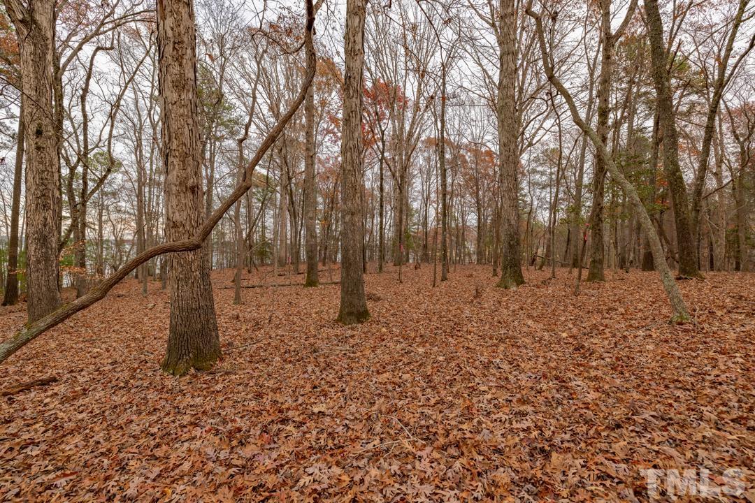 Lot 20 Serenity Point Littleton, NC 27850 - Photo 30 of 31 a view of outdoor space with lots of trees