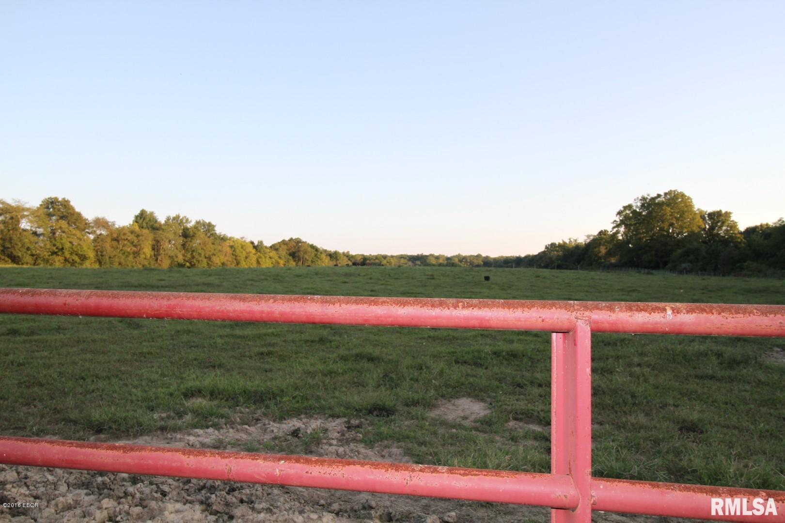 0 East Kendall Road Mount Vernon, IL 62864 - Photo 8 of 32