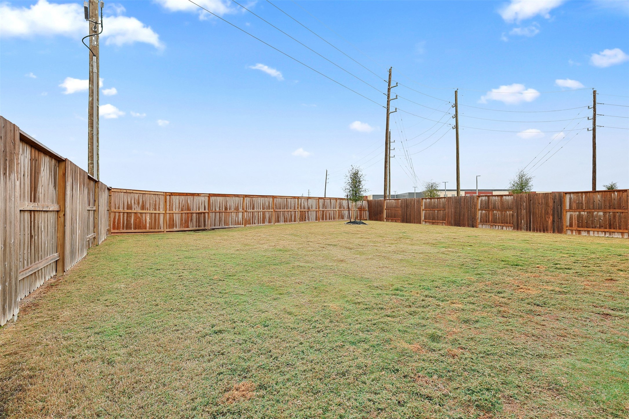 6022 Cottontail Lane Manvel, TX 77578 - Photo 23 of 30