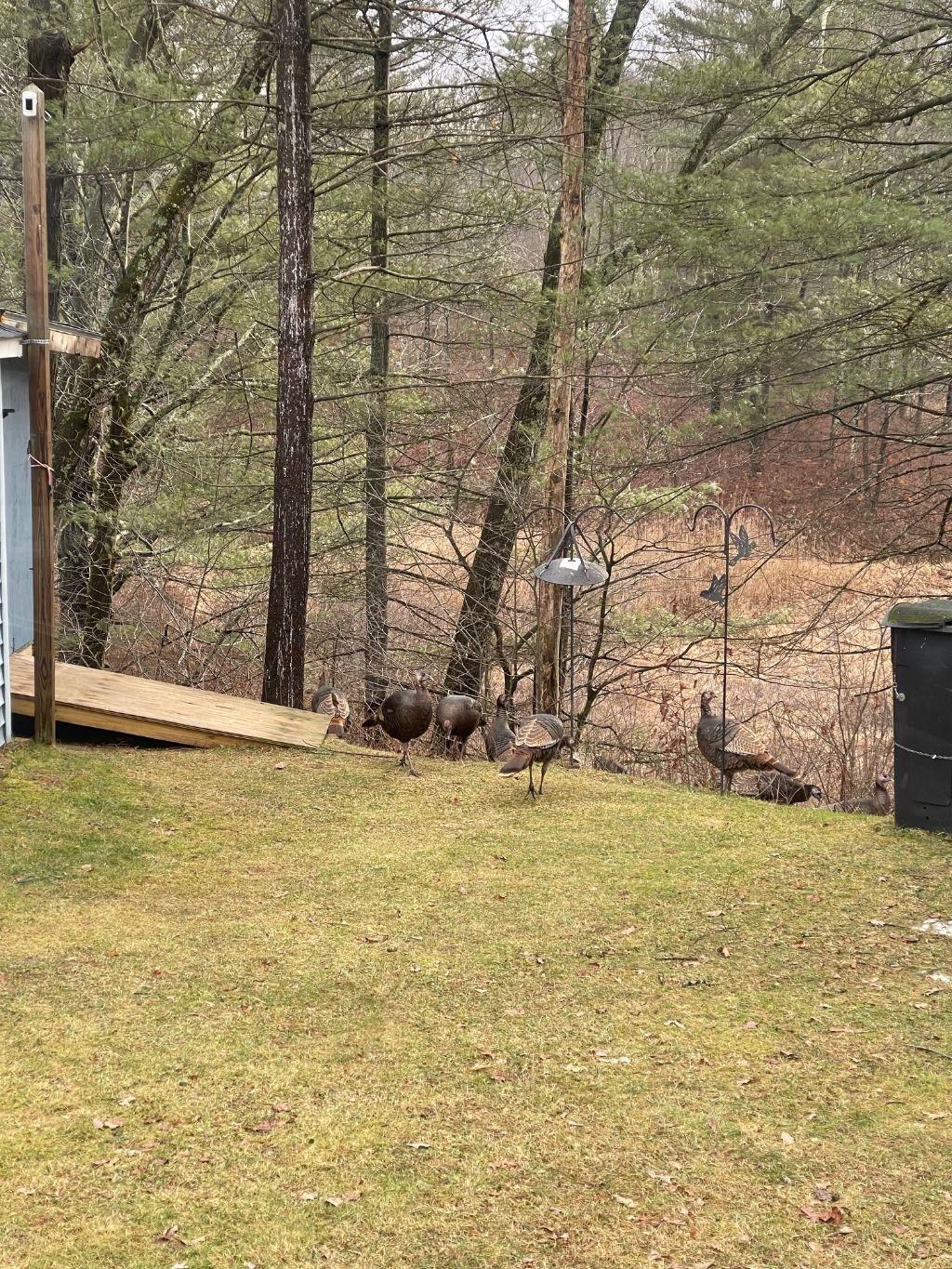 118 Wyndham Road Colchester, VT 05446 - Photo 16 of 17 Gallery Image 16