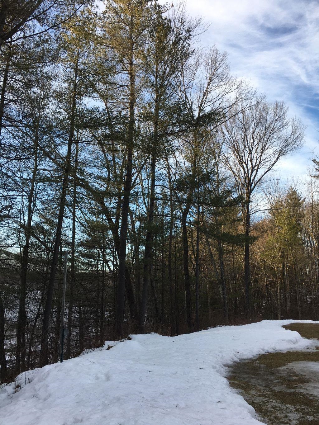 118 Wyndham Road Colchester, VT 05446 - Photo 8 of 17 Gallery Image 8