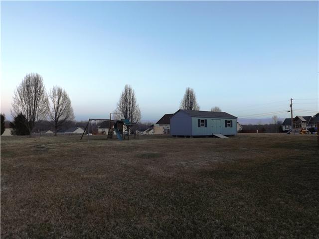 1484 Parker Road Manchester, TN 37355 - Photo 3 of 14 Plenty of room for everyone in the back yard. Horseshoes, Volleyball or just a place for all the kids to run around have fun in their own backyard.