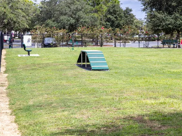 a view of a park with large trees