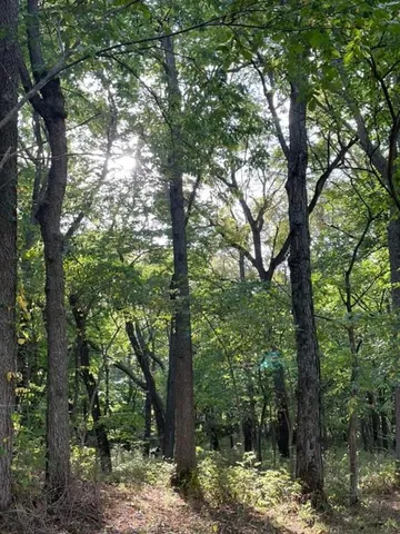 $749,900 | 6239 Northwest County Road 4002, Butler, MO 64730