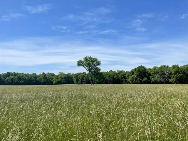 $749,900 | 6239 Northwest County Road 4002, Butler, MO 64730