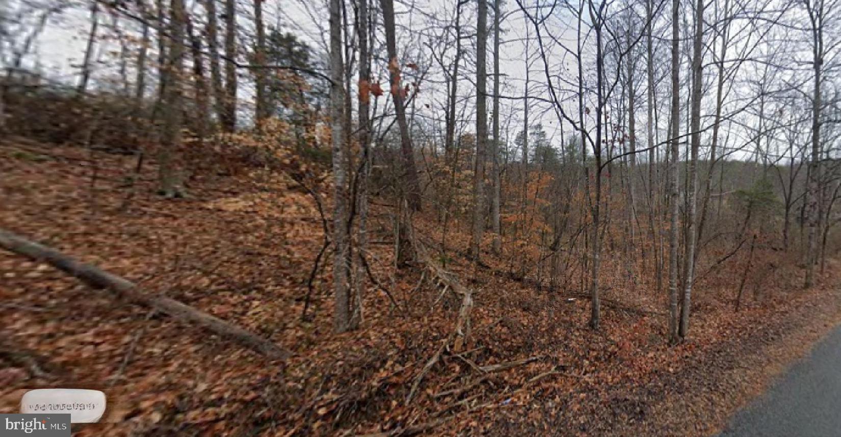 0 Horseshoe Point Road Henry, VA 24102 - Photo 4 of 6