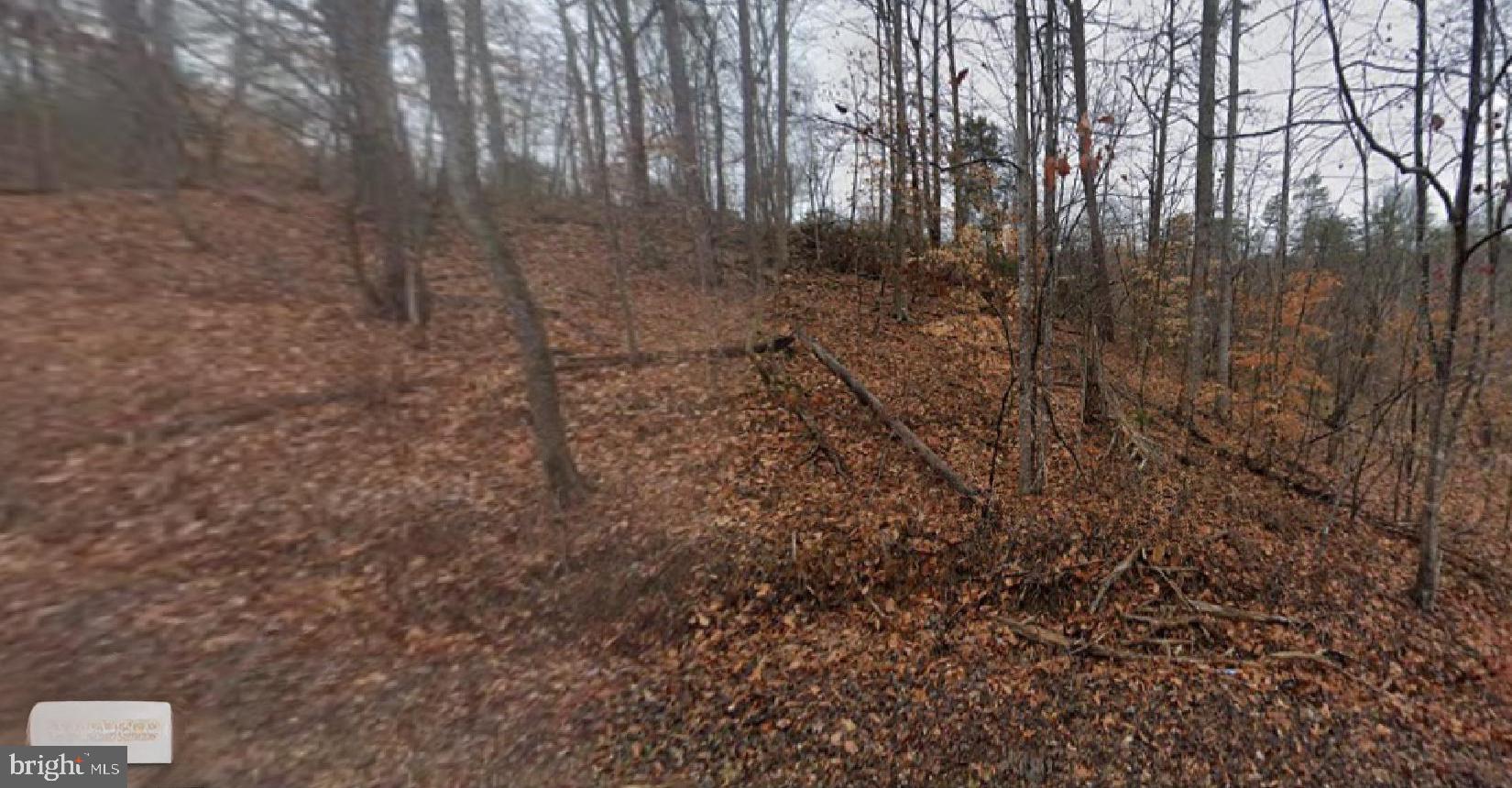 0 Horseshoe Point Road Henry, VA 24102 - Photo 6 of 6