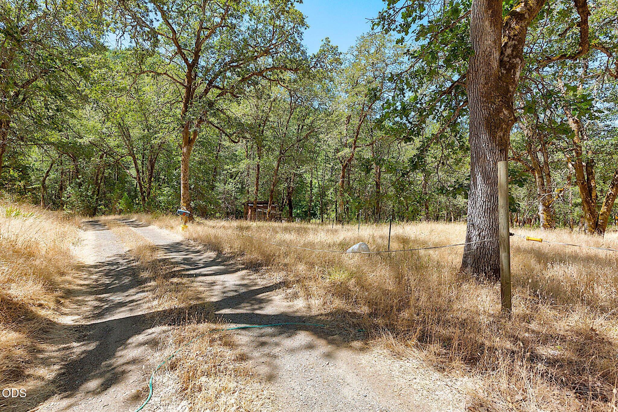 705 Murphy Gulch Road Rogue River, OR 97537 - Photo 43 of 77