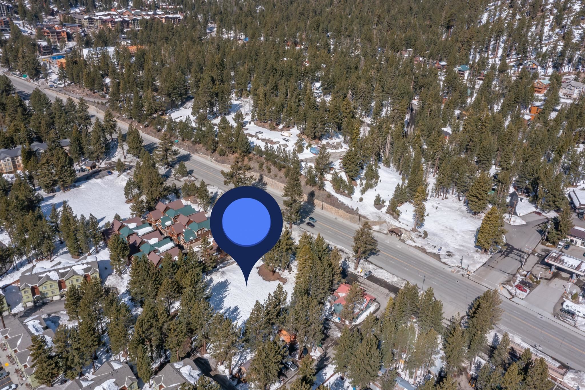 3721 Main Street Mammoth Lakes, CA 93546 - Photo 15 of 33 a view of a tree in a yard
