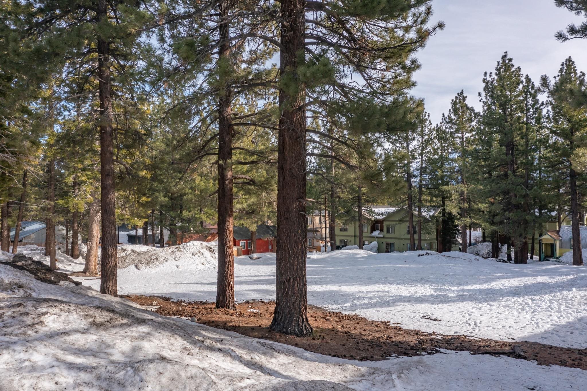 3721 Main Street Mammoth Lakes, CA 93546 - Photo 26 of 33 a view of a yard with trees