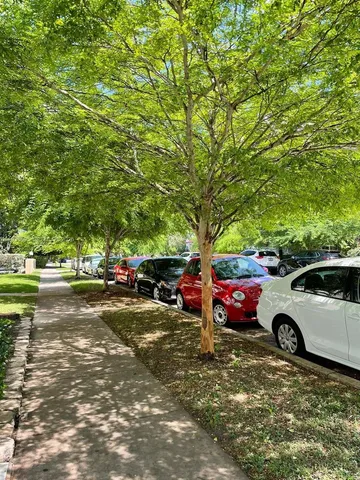 $1,495 | 119 Menores Avenue, Unit 4, Coral Gables, FL 33134