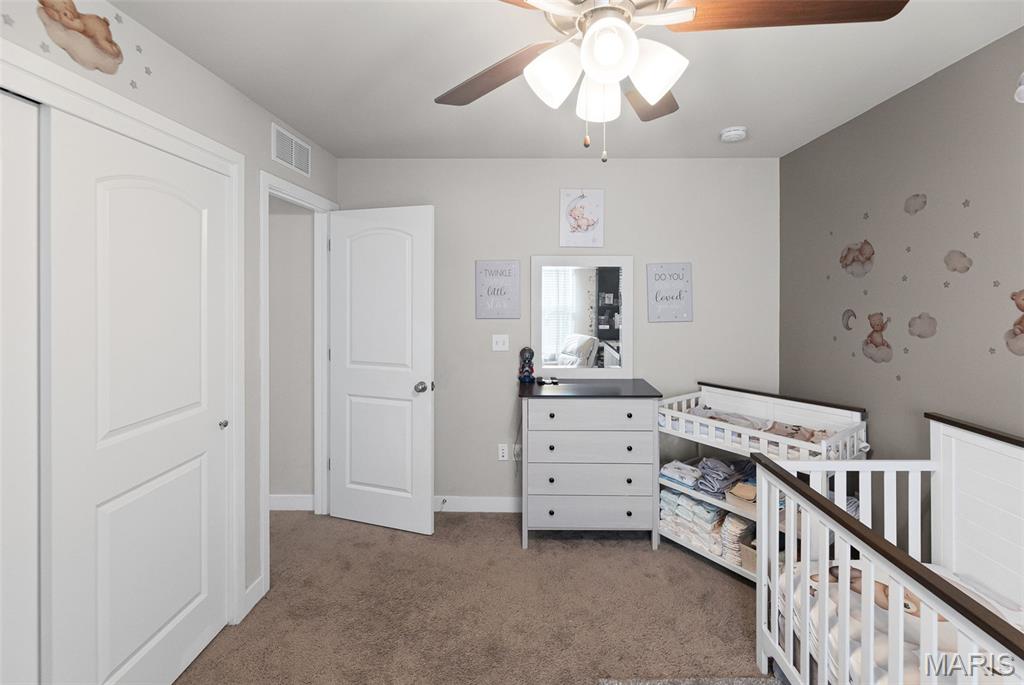 2562 Windsor Crest Court Belleville, IL 62221 - Photo 19 of 57