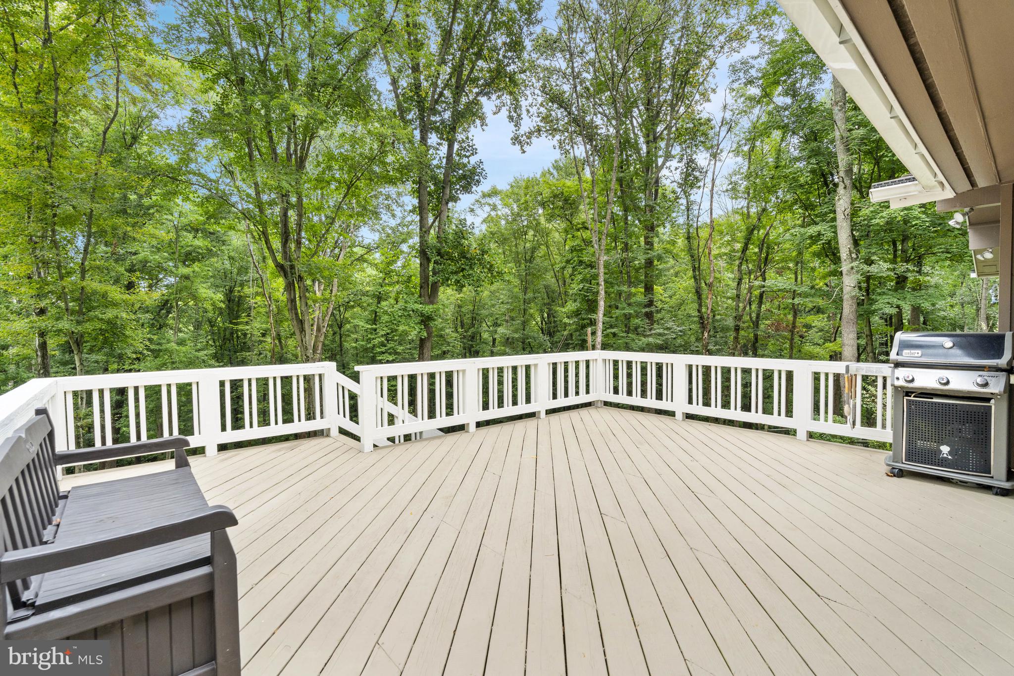 210 North Spring Valley Road Wilmington, DE 19807 - Photo 27 of 63 Backyard views off rear deck