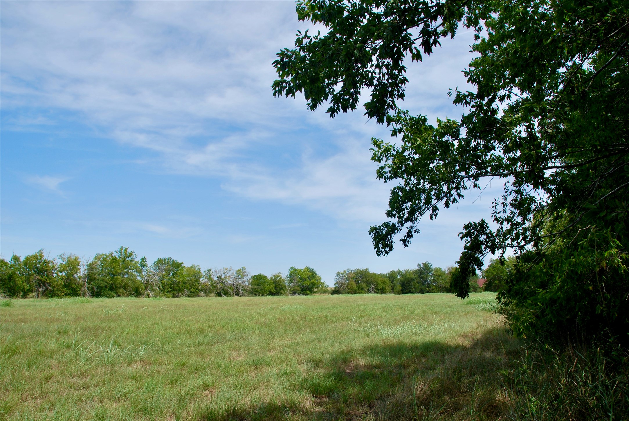 5 Company Field Road Schulenburg, TX 78956 - Photo 15 of 17 a view of a lush green space