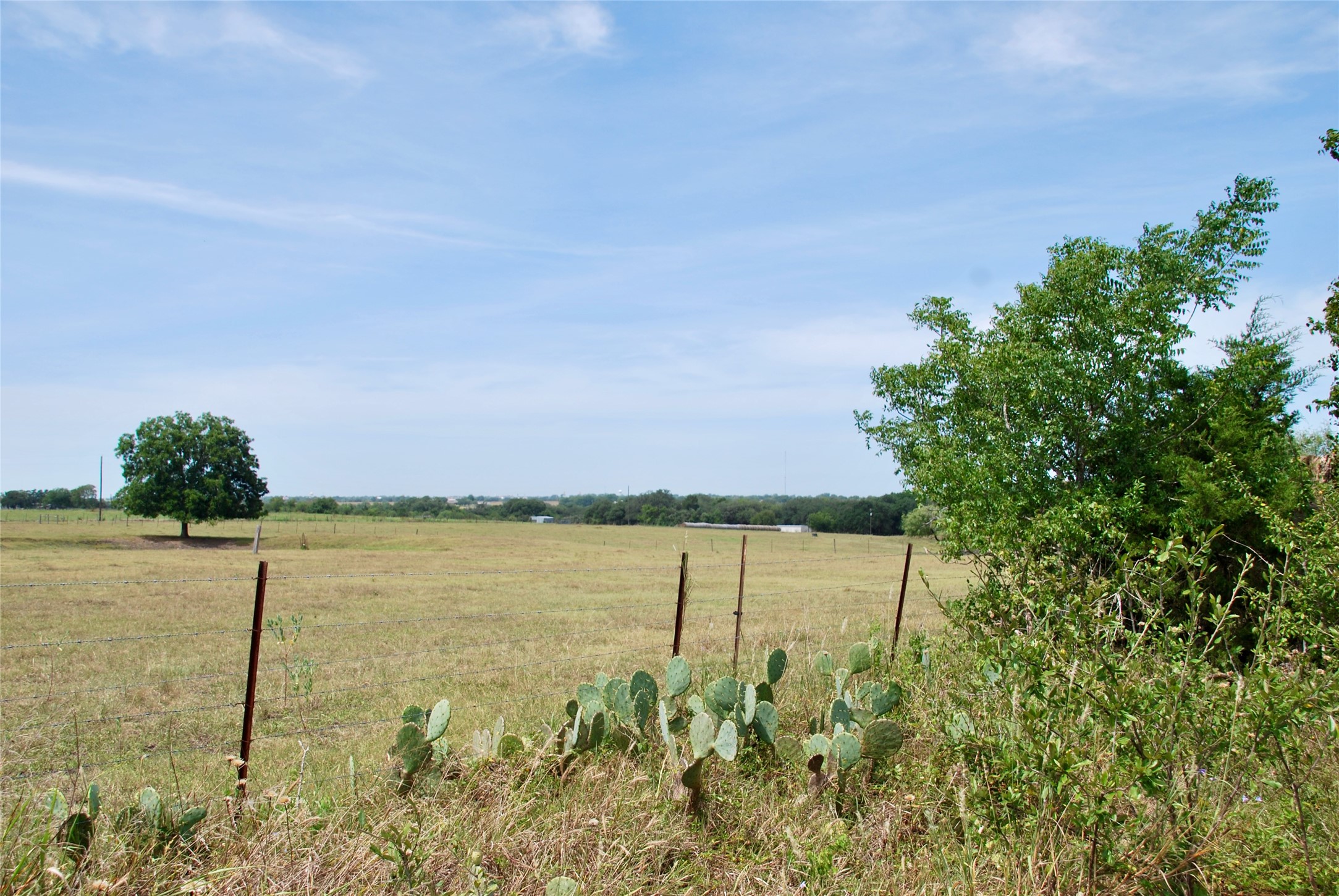 5 Company Field Road Schulenburg, TX 78956 - Photo 16 of 17 a view of an ocean and beach