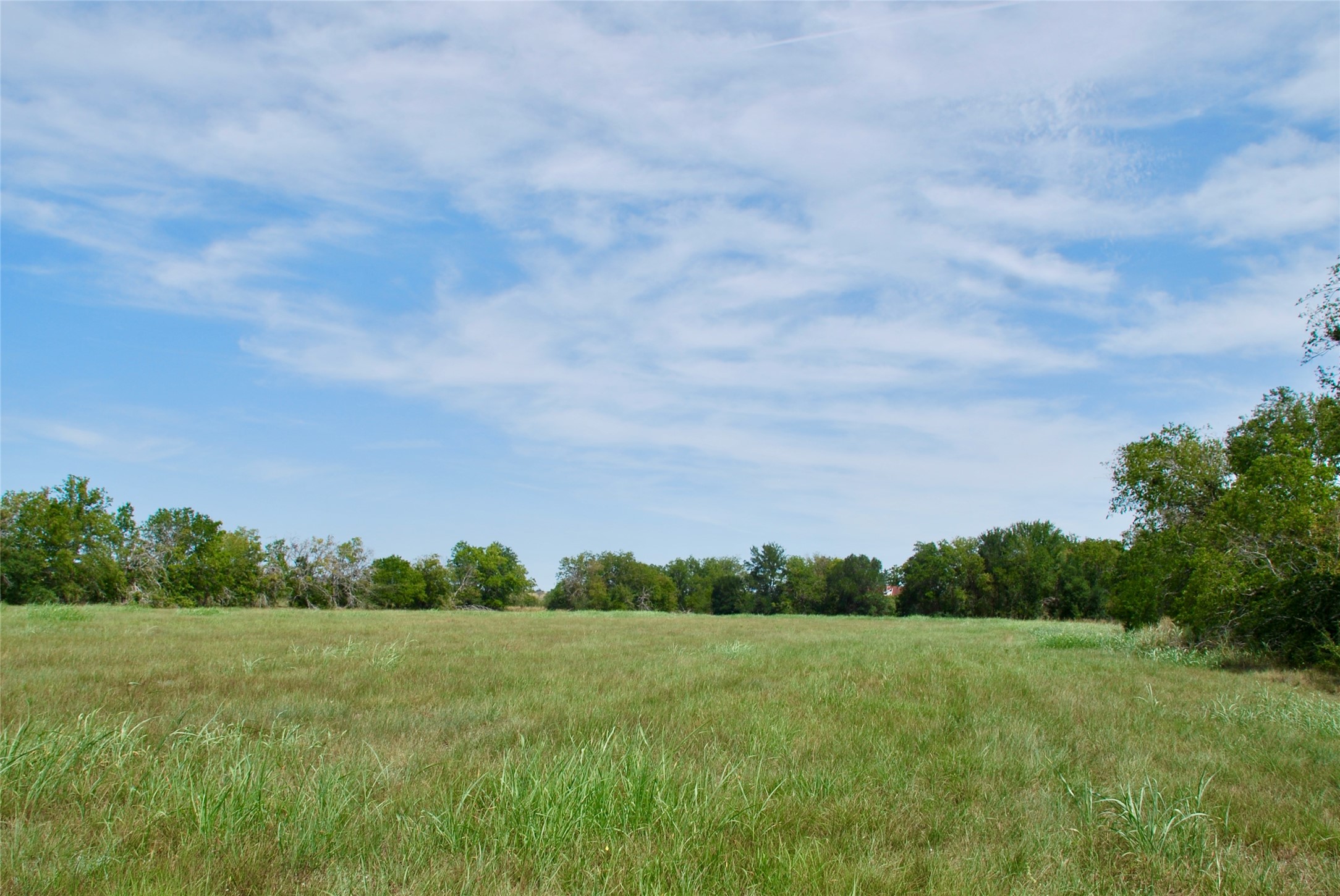 5 Company Field Road Schulenburg, TX 78956 - Photo 3 of 17 a view of a field with grass and trees