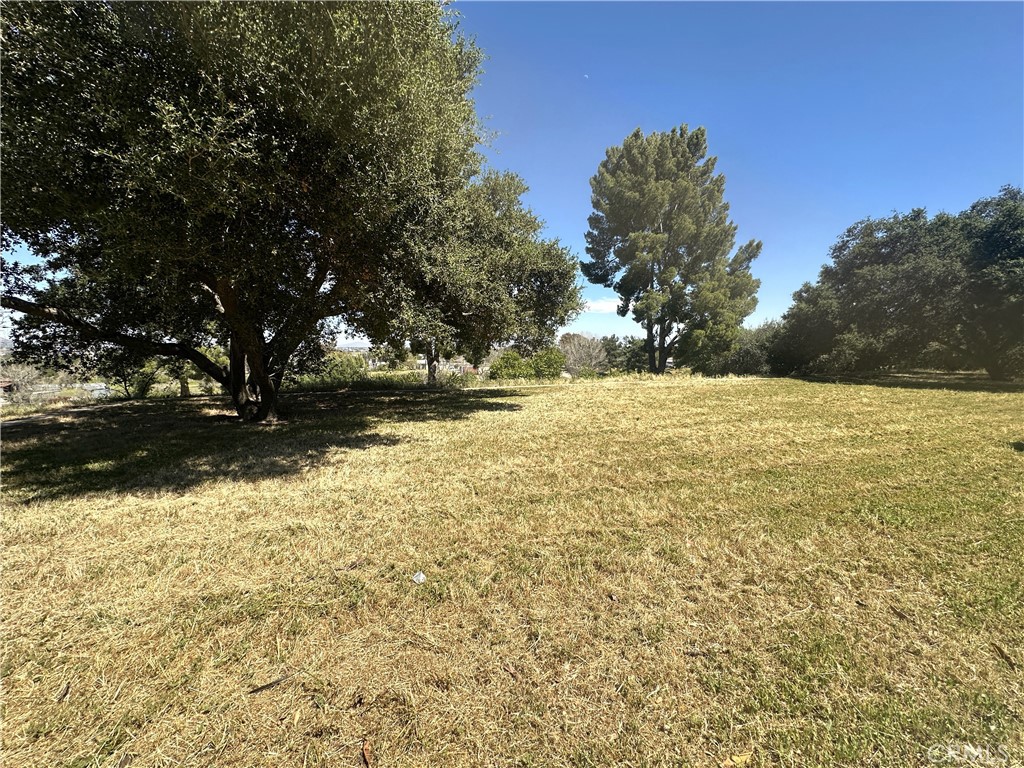 26050 Jan Valerie Road Murrieta, CA 92562 - Photo 36 of 47 a view of yard with large trees
