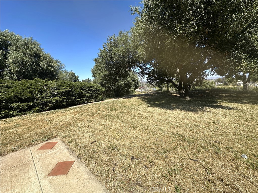 26050 Jan Valerie Road Murrieta, CA 92562 - Photo 37 of 47 a view of a yard with trees