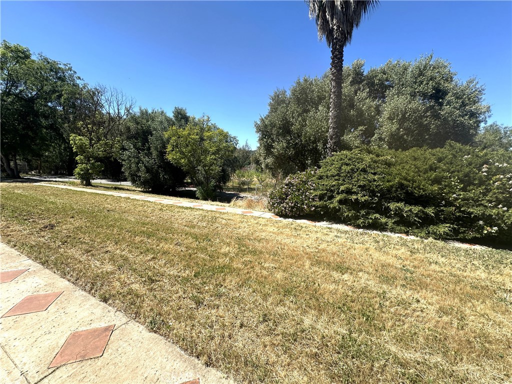 26050 Jan Valerie Road Murrieta, CA 92562 - Photo 38 of 47 a view of a yard with trees in the background