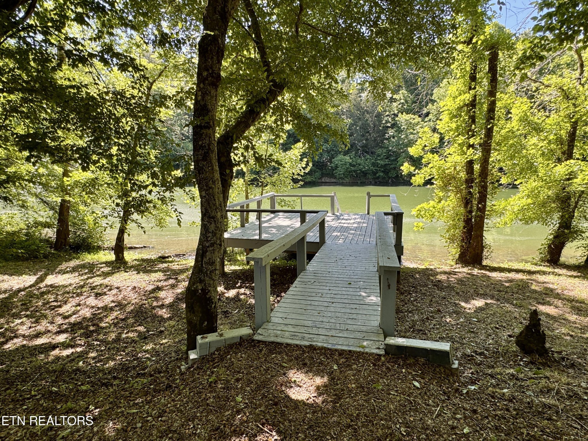 983 River Hill Road Sparta, TN 38583 - Photo 18 of 47 a view of a yard with plants and trees
