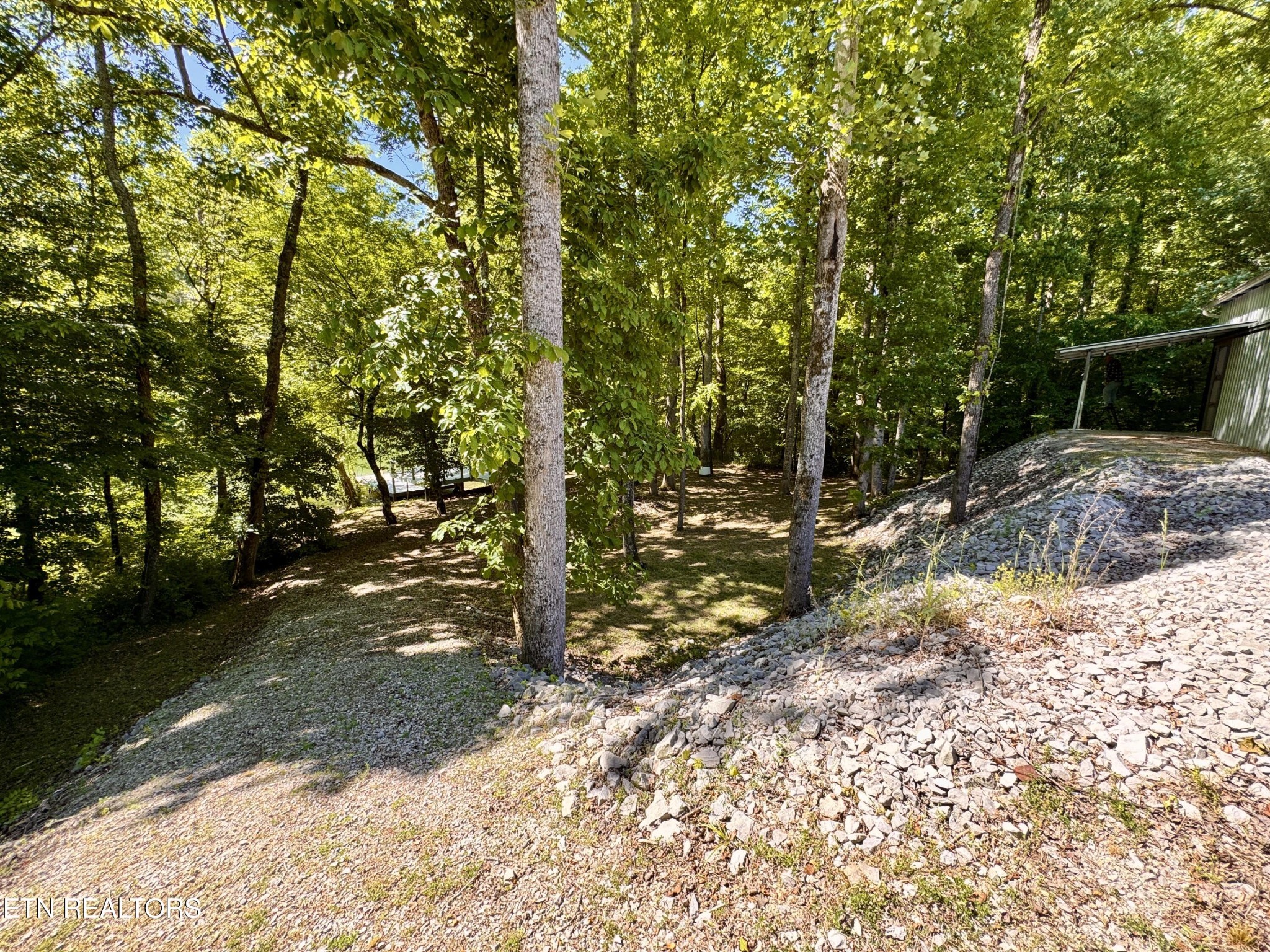 983 River Hill Road Sparta, TN 38583 - Photo 21 of 47 a view of a tree in the middle of a yard