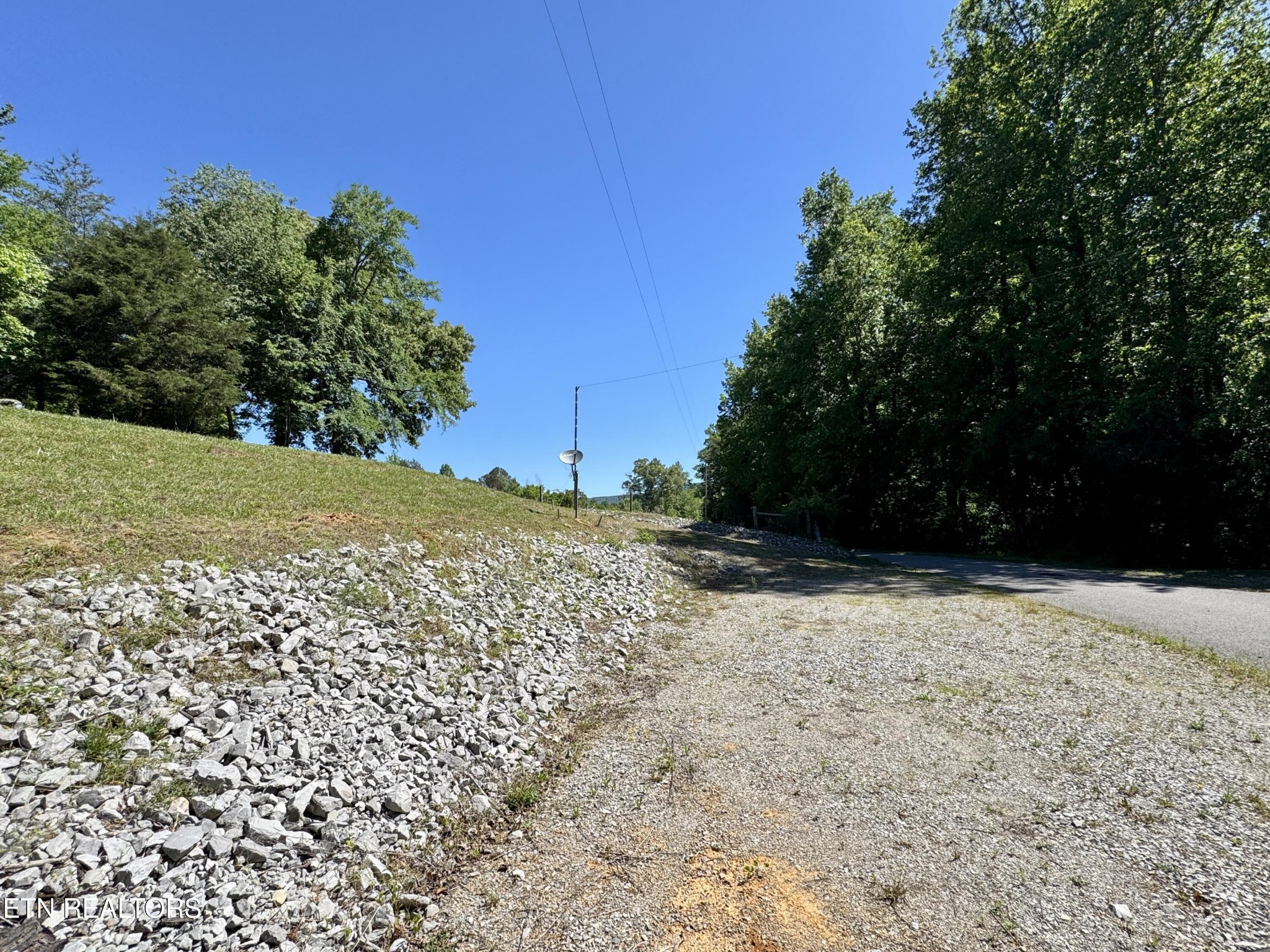 983 River Hill Road Sparta, TN 38583 - Photo 35 of 47 a view of a yard with yellow space