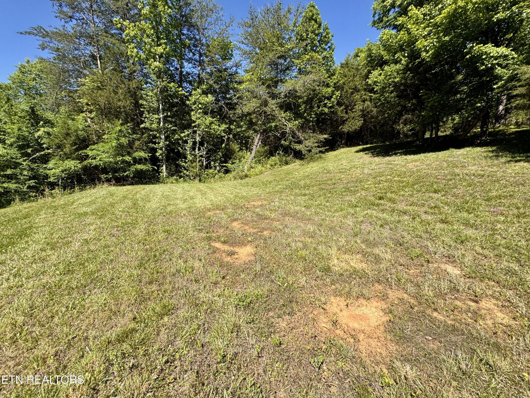 983 River Hill Road Sparta, TN 38583 - Photo 37 of 47 a view of a yard with a tree