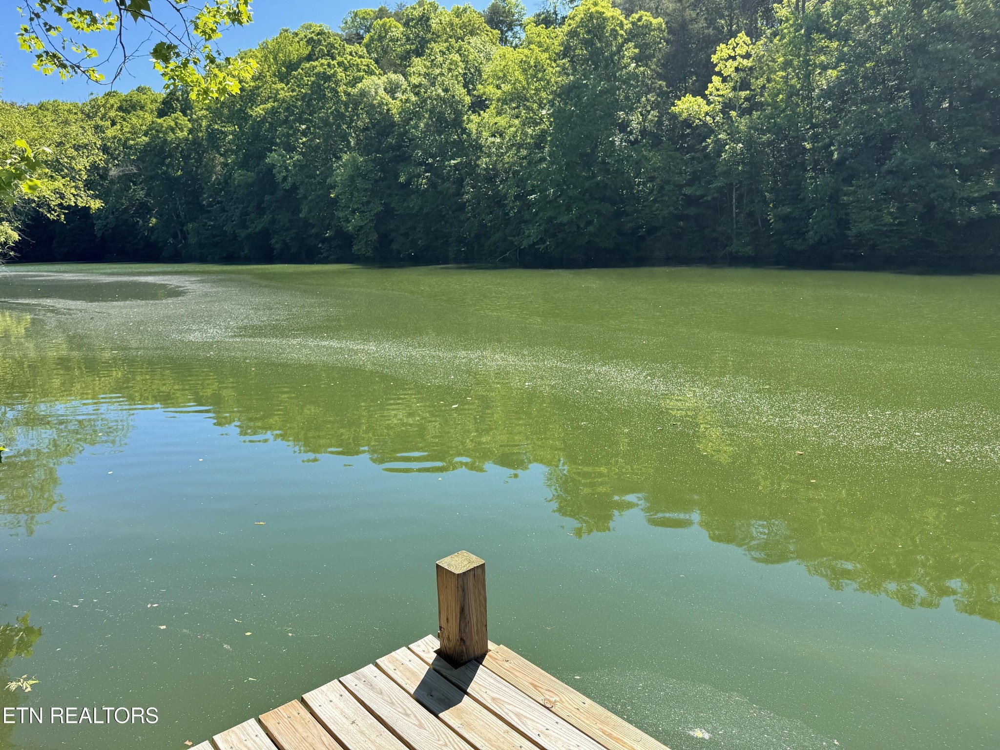 983 River Hill Road Sparta, TN 38583 - Photo 4 of 47 a view of a lake with a yard