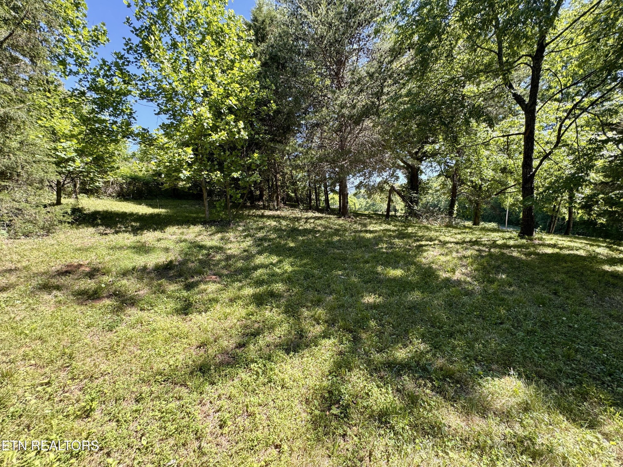 983 River Hill Road Sparta, TN 38583 - Photo 41 of 47 a yard with trees in the background