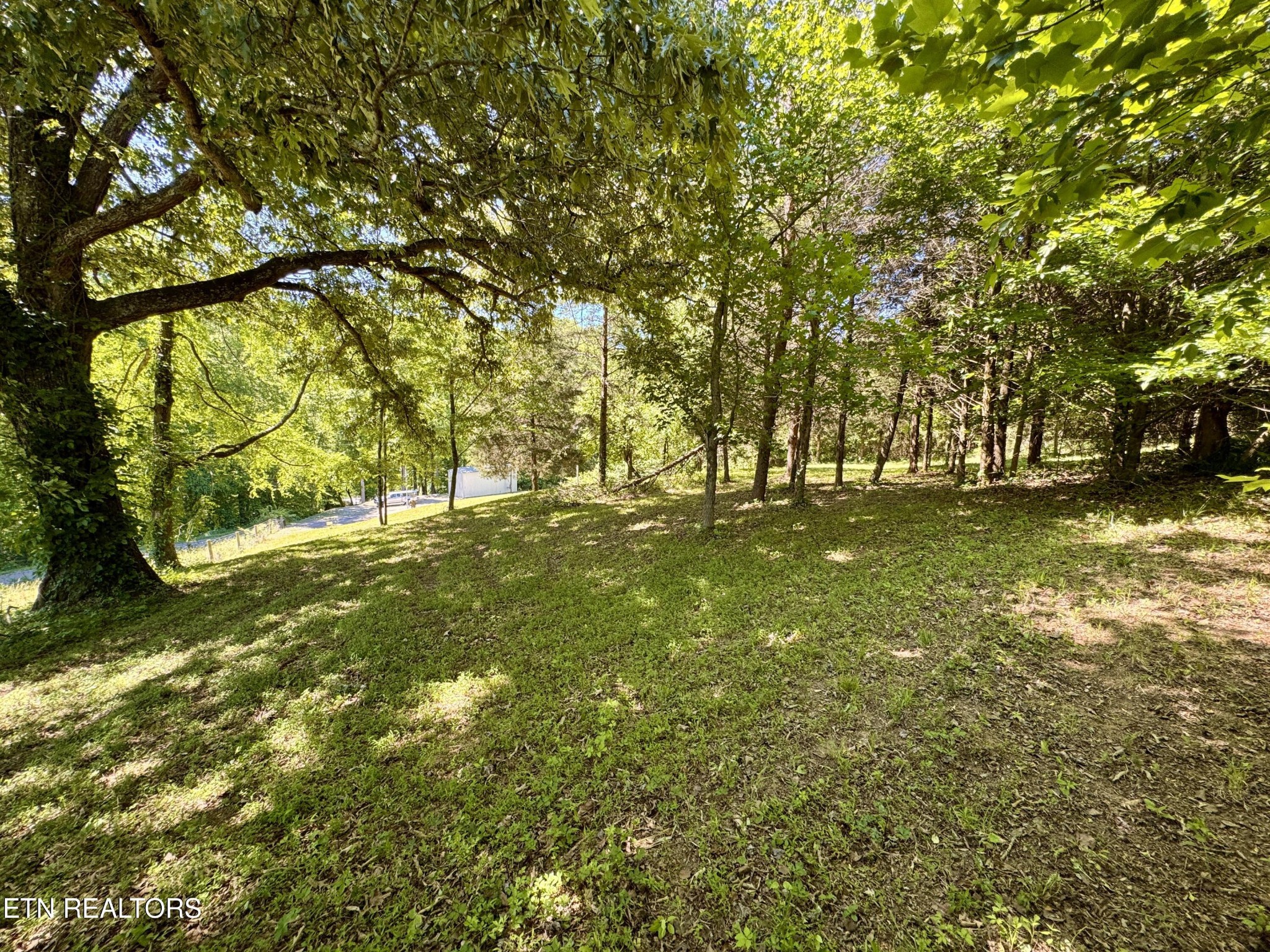 983 River Hill Road Sparta, TN 38583 - Photo 42 of 47 a view of yard with trees