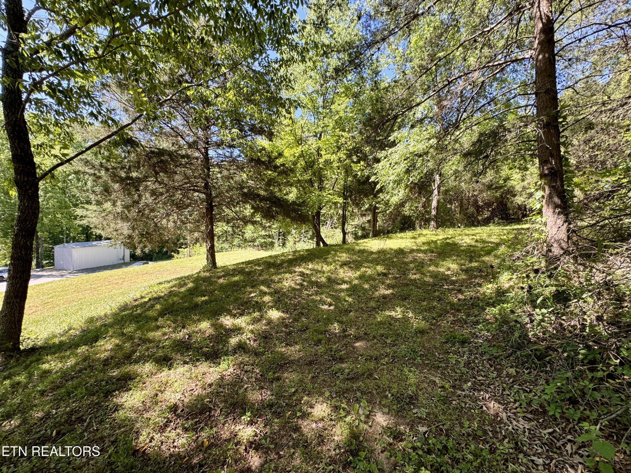 983 River Hill Road Sparta, TN 38583 - Photo 43 of 47 a view of yard with trees