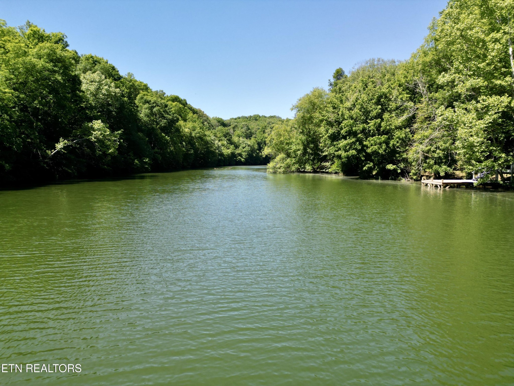 983 River Hill Road Sparta, TN 38583 - Photo 7 of 47 a view of an ocean from a yard