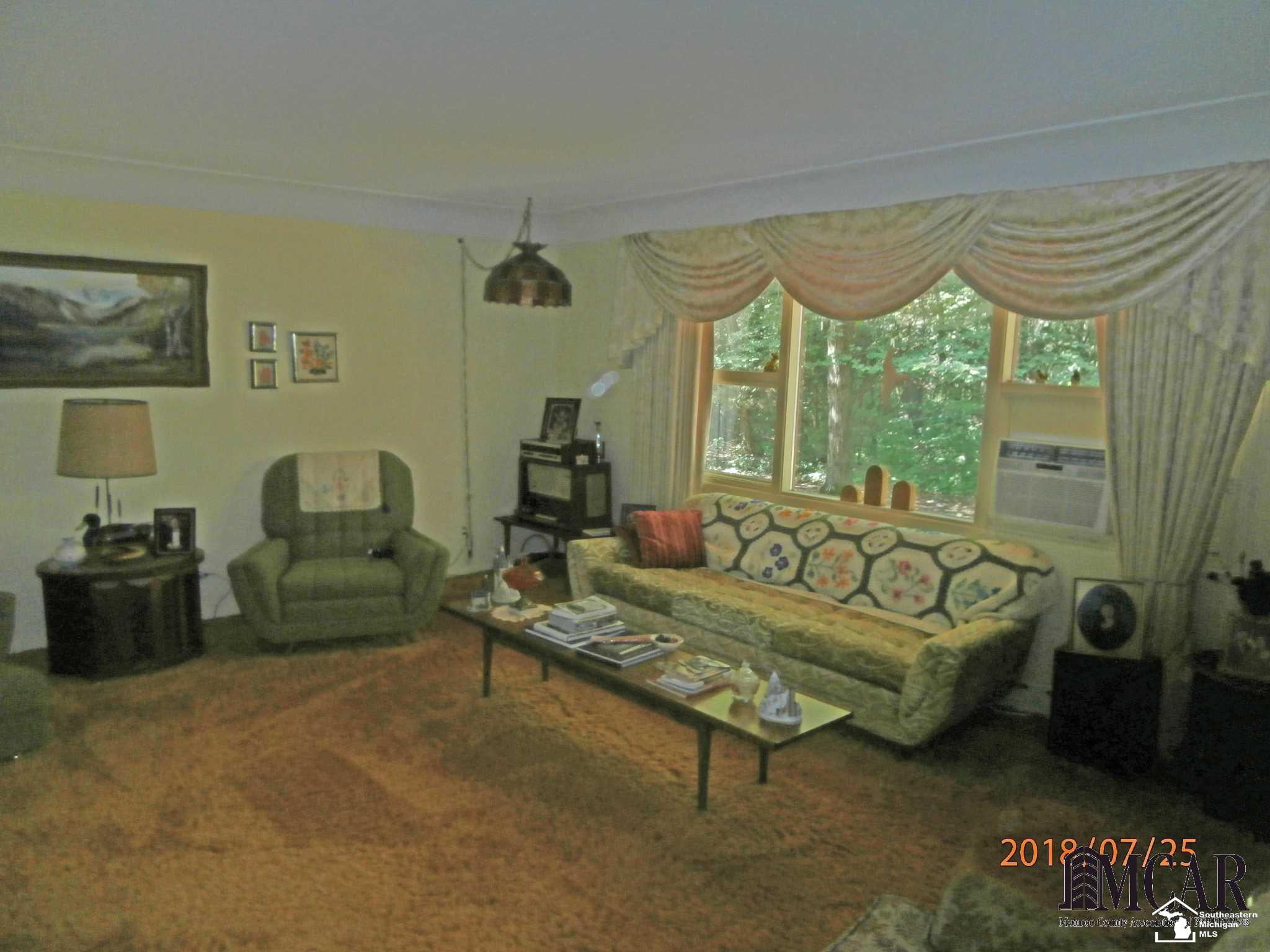 2541 Morocco Road Ida, MI 48140 - Photo 6 of 32