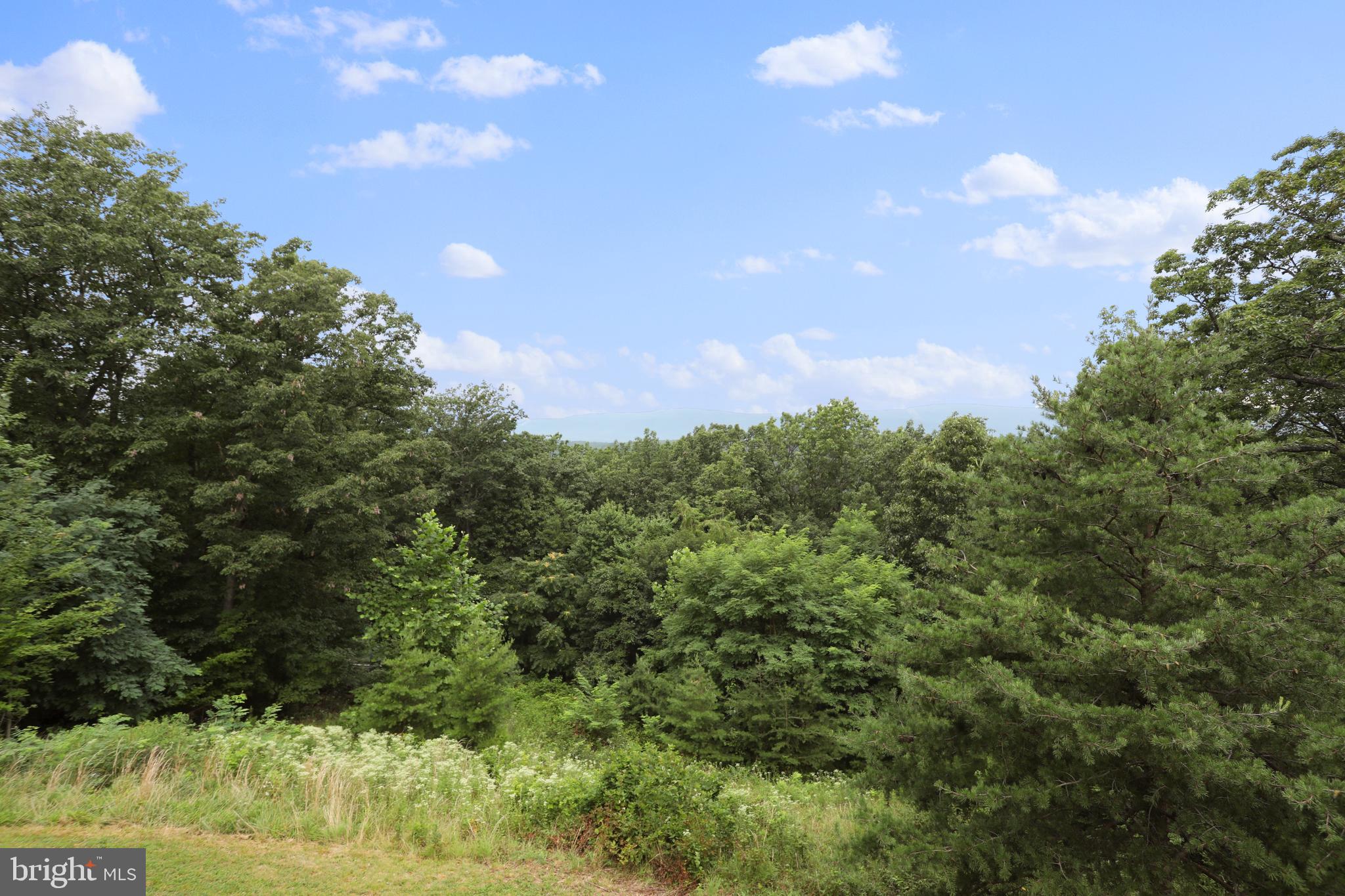 360 Timberline Ridge Road Star Tannery, VA 22654 - Photo 12 of 61 Gallery Image 12