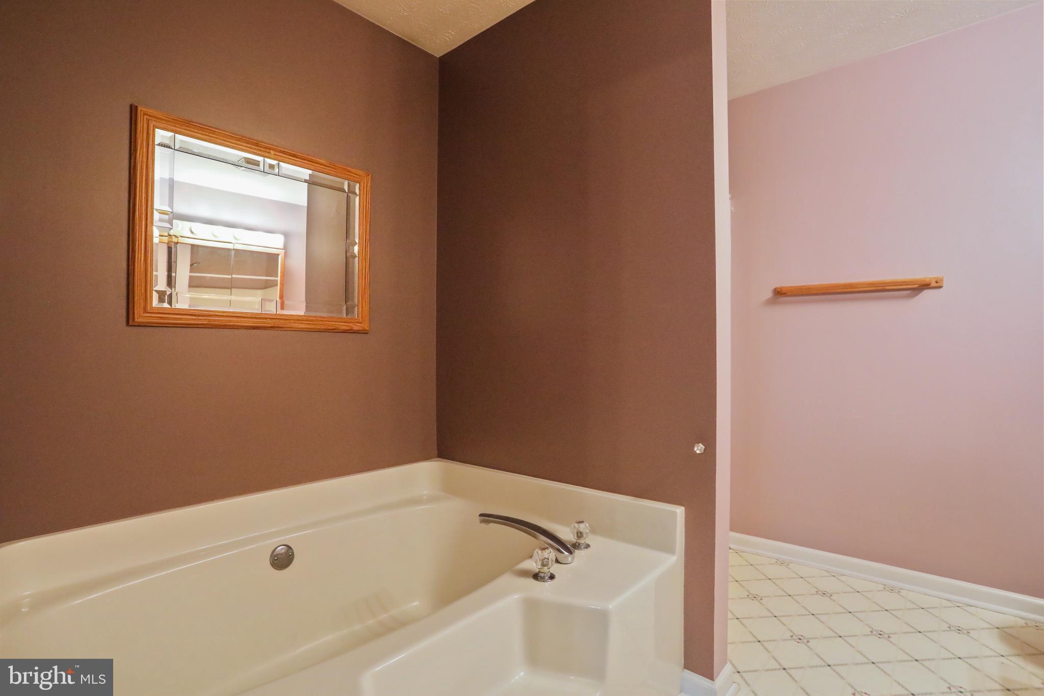 360 Timberline Ridge Road Star Tannery, VA 22654 - Photo 27 of 61 Primary Bathroom with soaking tub