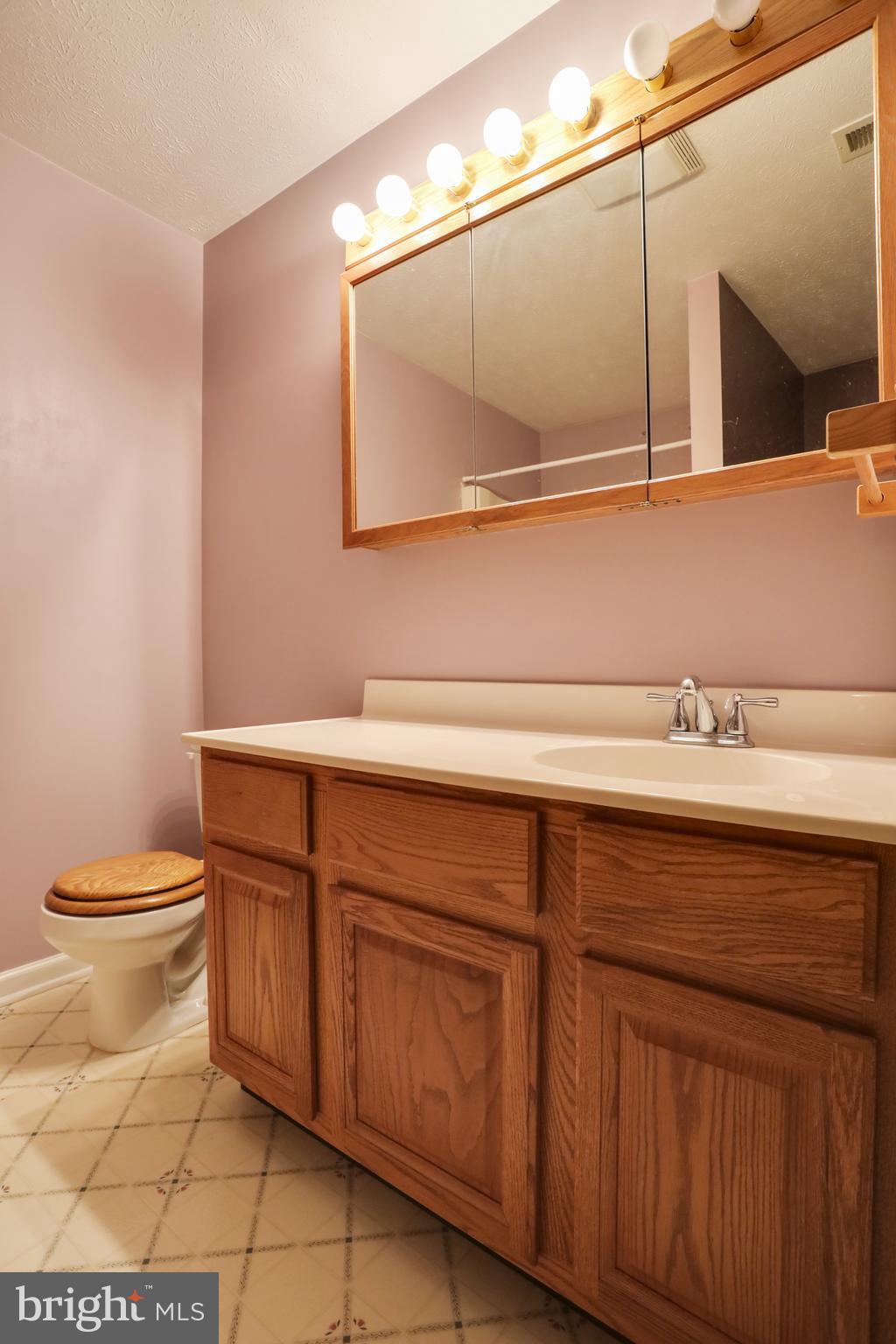360 Timberline Ridge Road Star Tannery, VA 22654 - Photo 28 of 61 Primary Bathroom