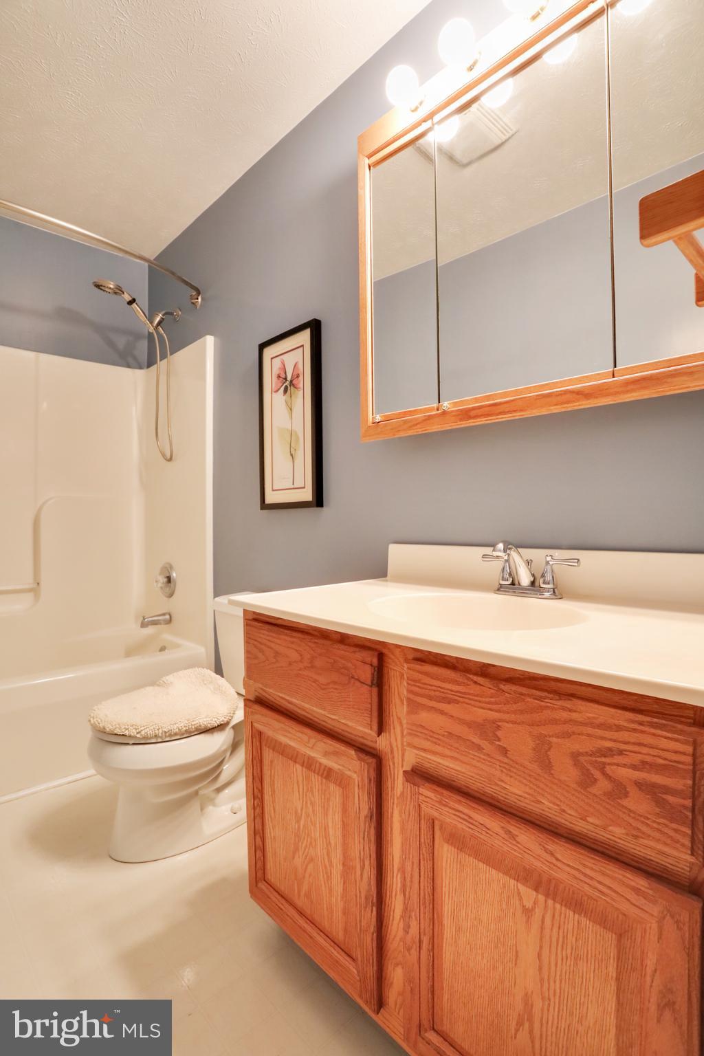 360 Timberline Ridge Road Star Tannery, VA 22654 - Photo 35 of 61 Full bathroom