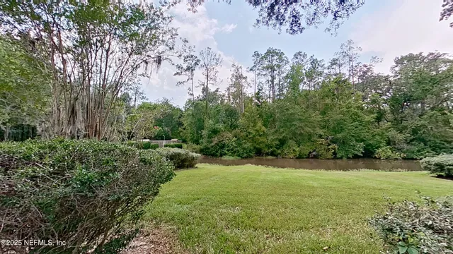 a view of a backyard with large trees