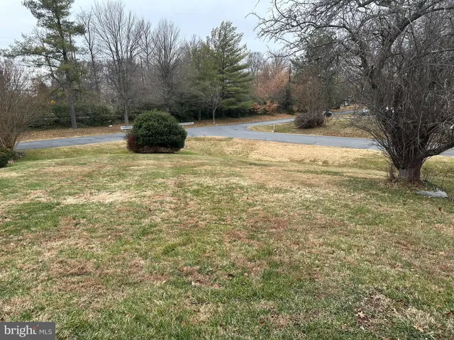 a view of a yard with a tree
