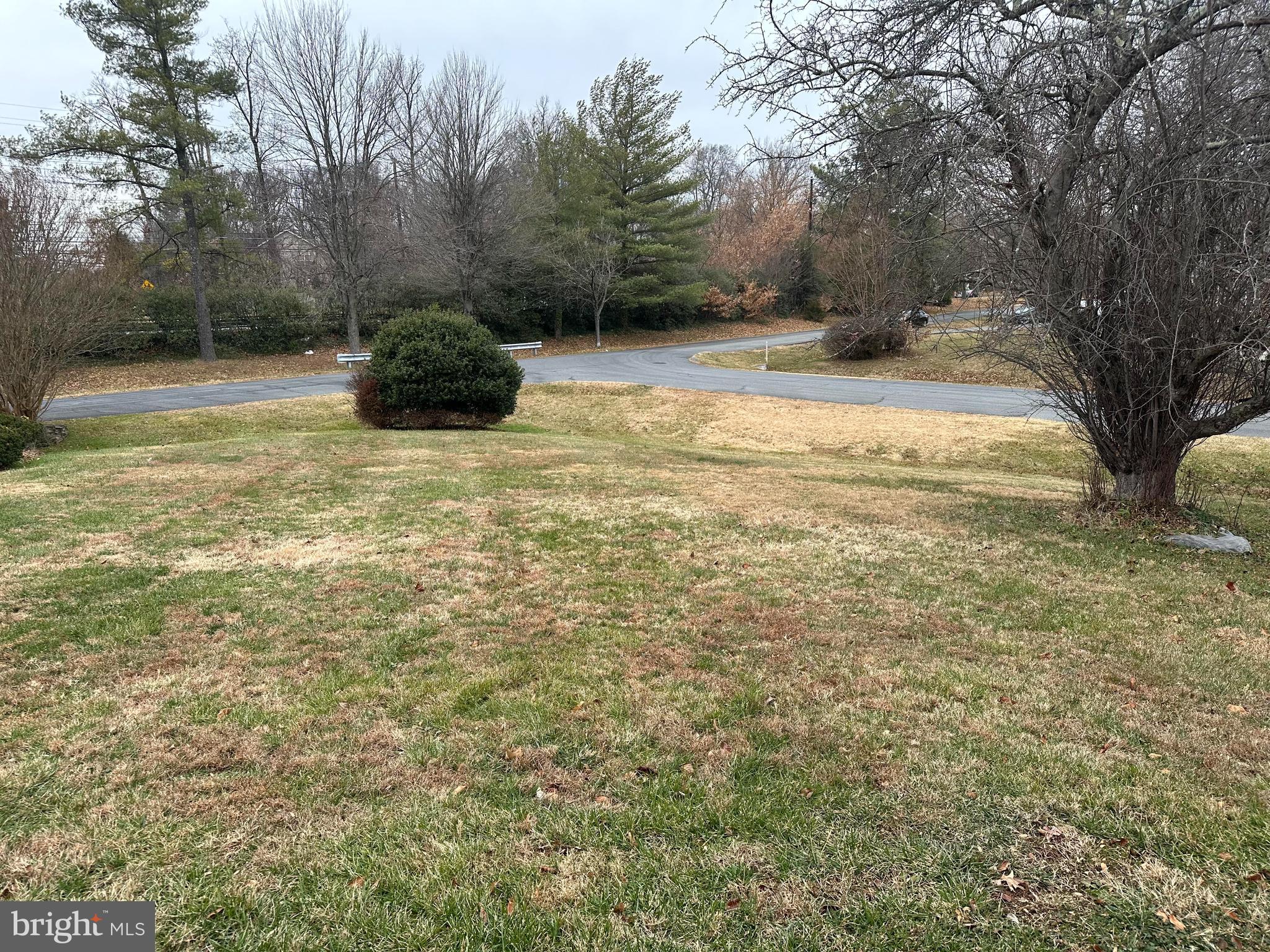 4037 Olney Laytonsville Road Olney, MD 20832 - Photo 5 of 42 a view of a yard with a tree