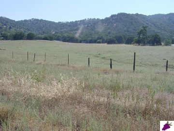 0 Fallen Oak Road Tollhouse, CA 93667 - Photo 3 of 4 Gallery Image 3