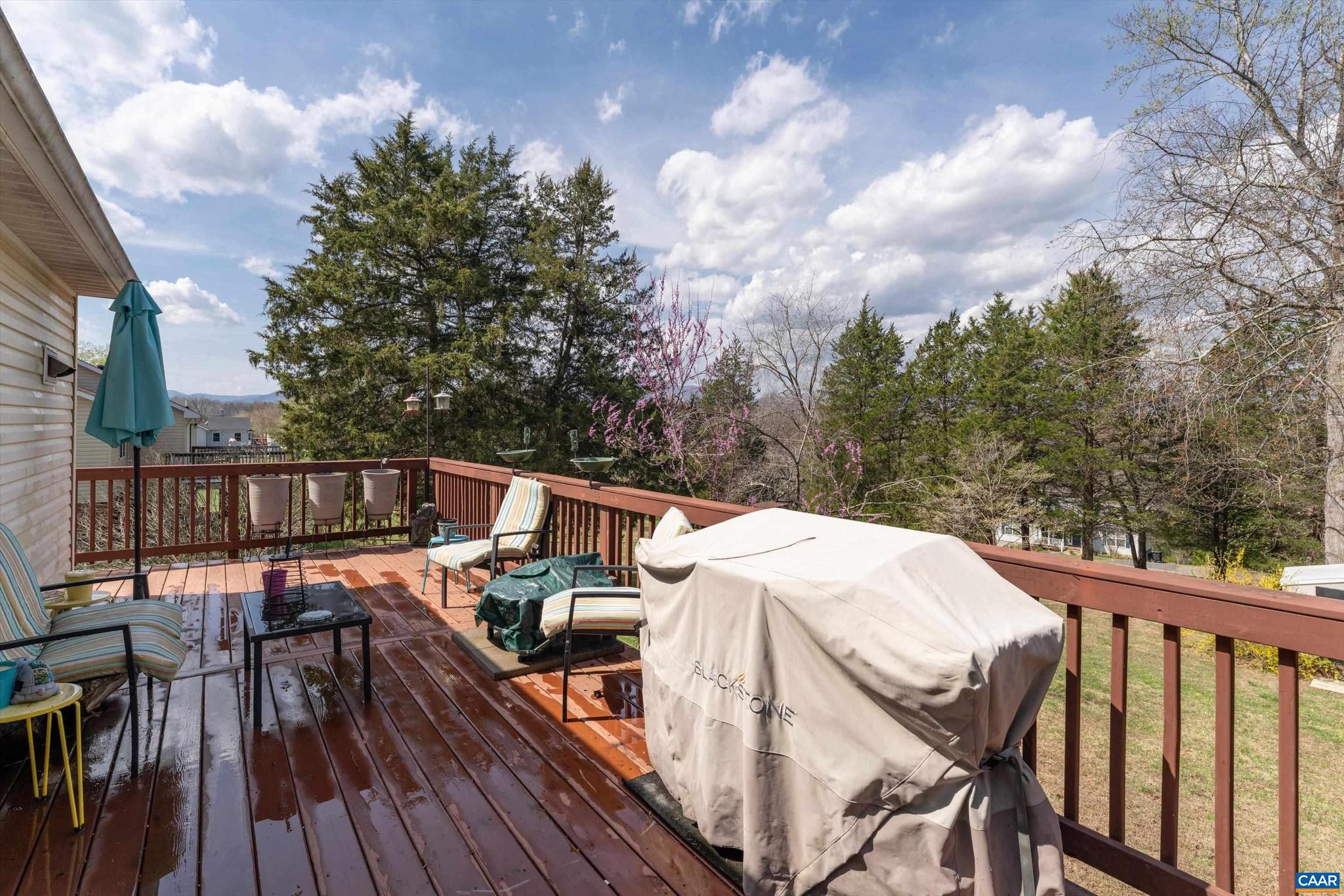 5343 Amicus Road Ruckersville, VA 22968 - Photo 47 of 49