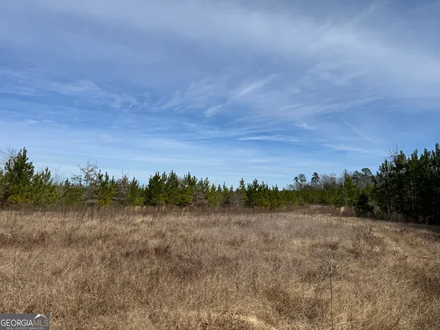 a view of a field with trees in background