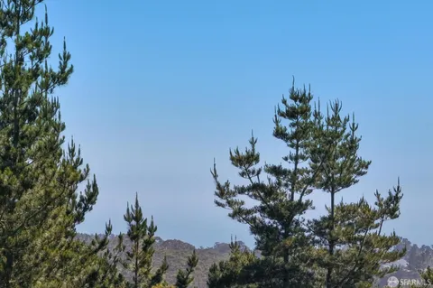 a view of a plant in a garden
