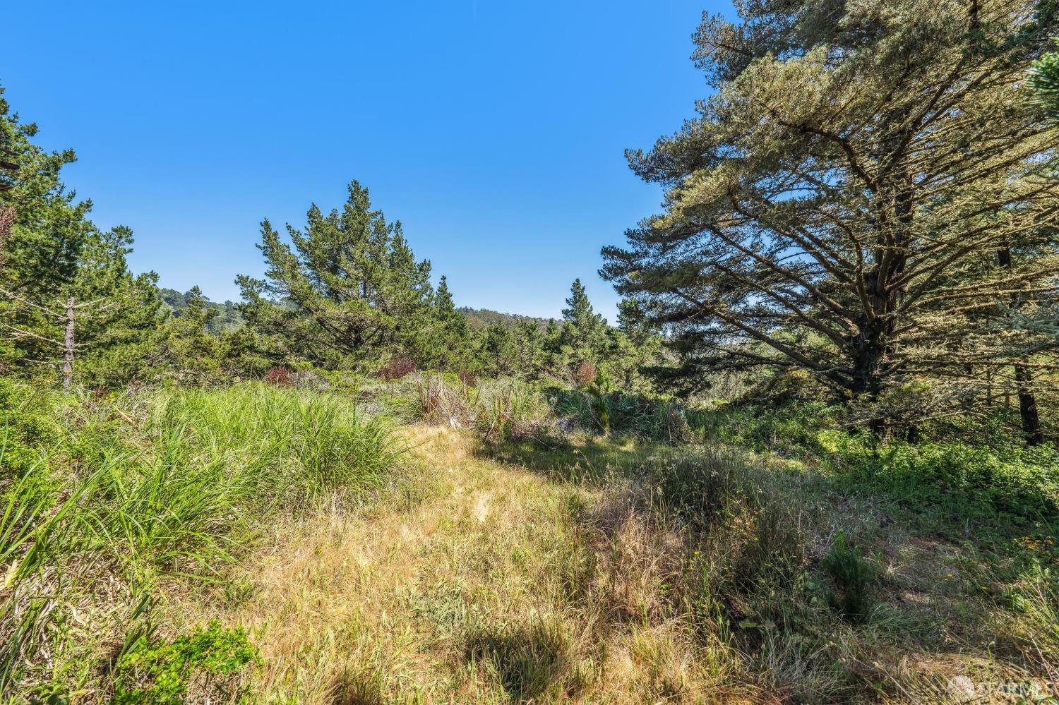 0 Vallecitos Road Montara, CA 94037 - Photo 30 of 32 a view of a big yard with large trees
