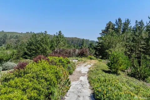 a view of a pathway both side of grassy field with trees